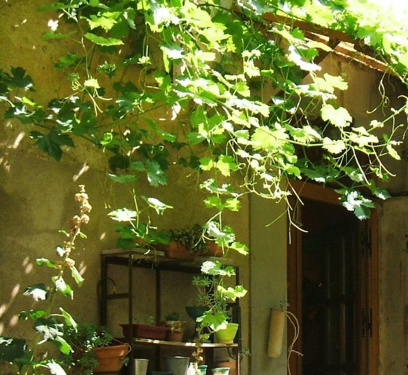 La Vigne Bleue Ξενοδοχείο Olonzac Εξωτερικό φωτογραφία