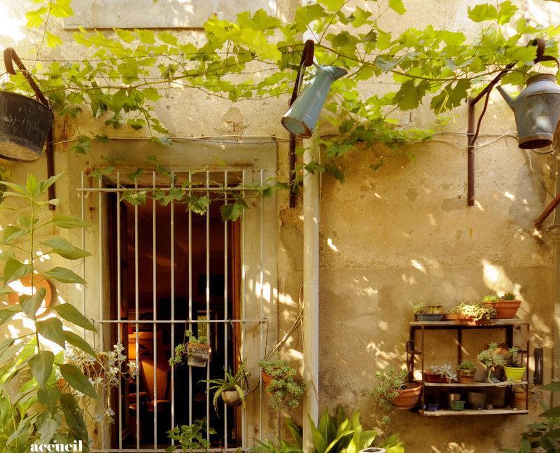 La Vigne Bleue Ξενοδοχείο Olonzac Εξωτερικό φωτογραφία